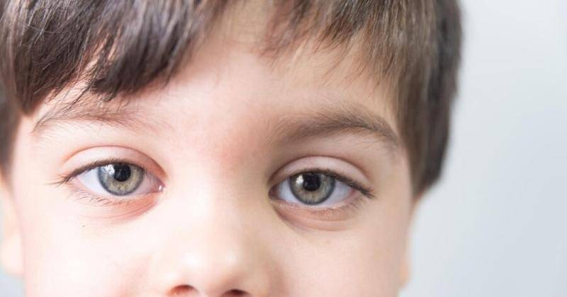 Freepik/Mateus Andre